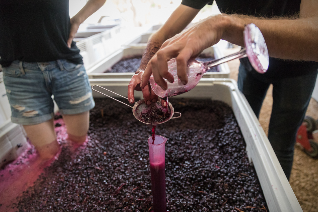 A man and woman making wine